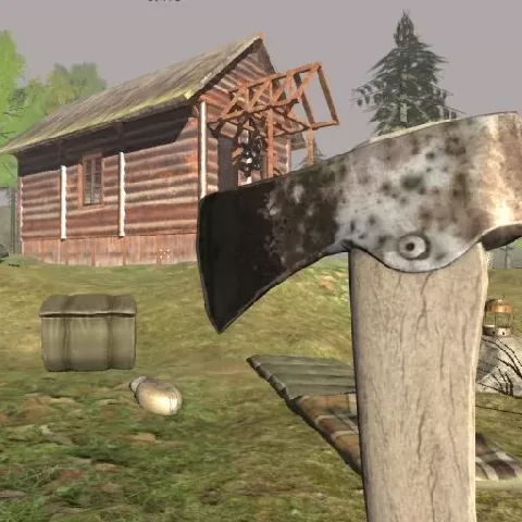 Survive In The Forest